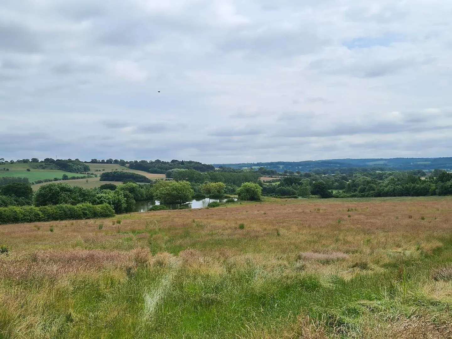 Weeton  Bridge House Farm 빌라 영국